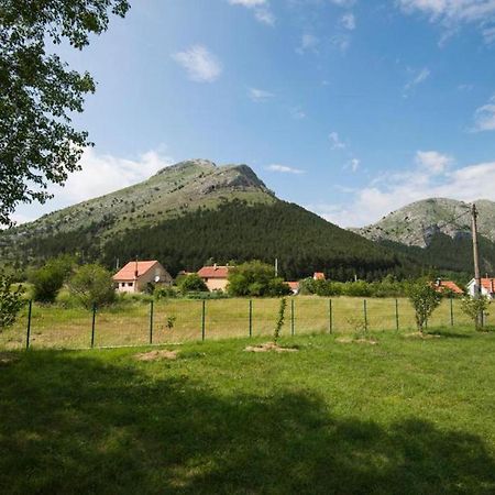 Lovcen Mountain Cottages Njegusi Exteriör bild